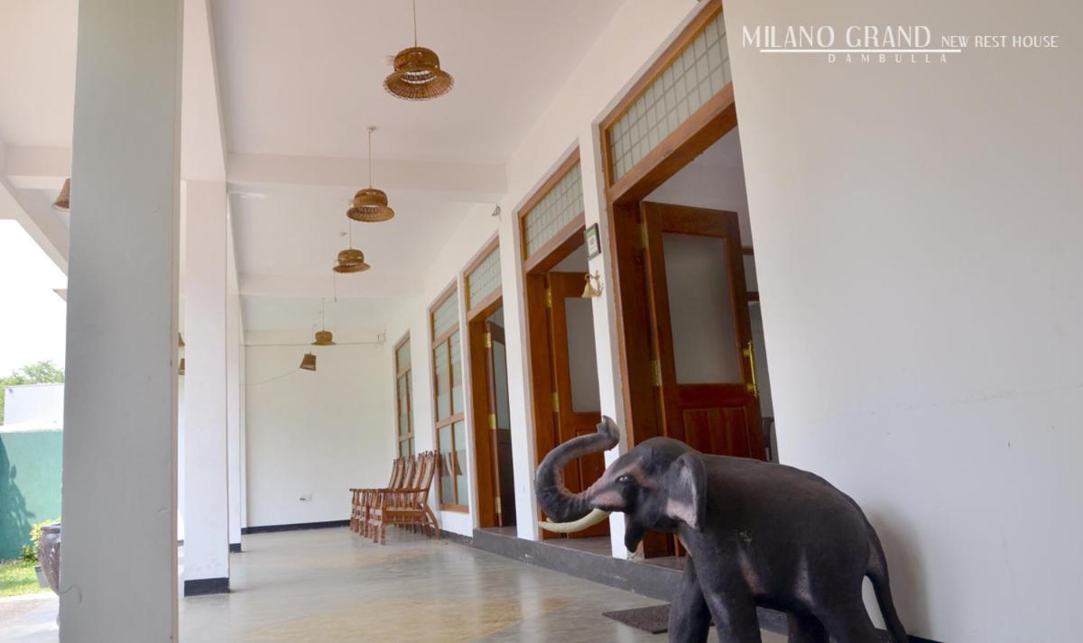 Milano Grand Hotell Dambulla Exteriör bild
